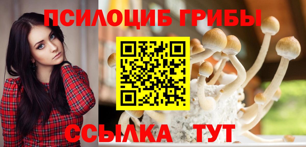 Галлюциногенные грибы MAGIC MUSHROOMS Вологда