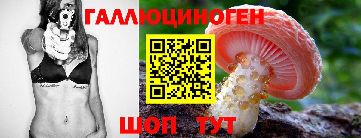 Вологда  Псилоцибиновые грибы Magic Shrooms  Вход с VPN 